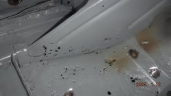 240112 Shelby Mustang (9).JPG